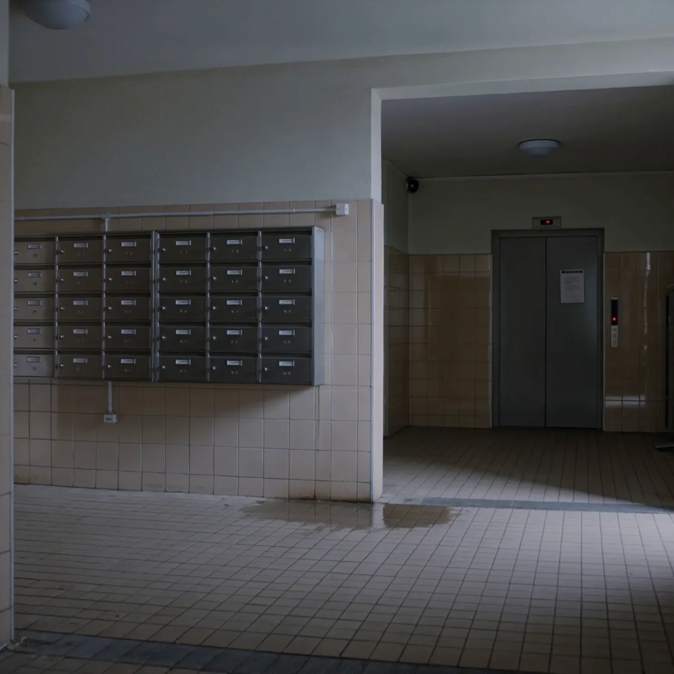 Hall d'immeuble en copropriété avec boîtes aux lettres, ascenseur et fuite d'eau au sol